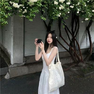 动画